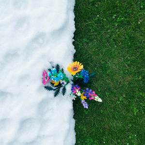 Цветы из лего