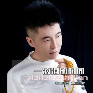 一滴泪的时间 (陈玉建版|DJ版)