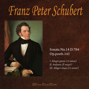슈베르트 피아노 소나타 14번 1악장 Sonata No.14 D. ..