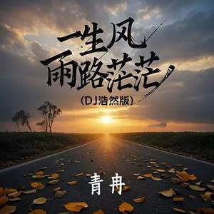 一生风雨路茫茫 (DJ浩然版)