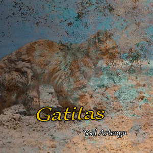 Gatitas