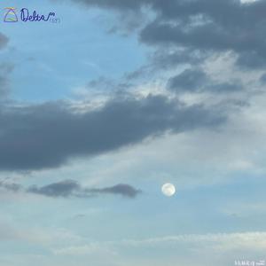 回归艺心之洞穴与祖先一起跳灵舞 Returning To The Primordial Cave Where Ancestors Birthed Art From Soul