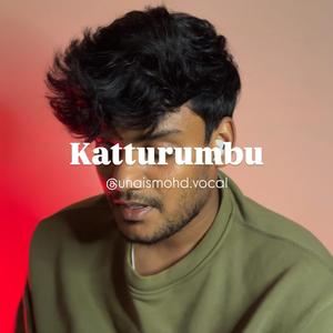 Katturumbu