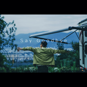 说再见（Say Goodbye)
