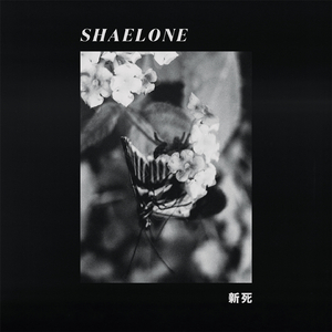 New Death (Shlo Live Sessions)