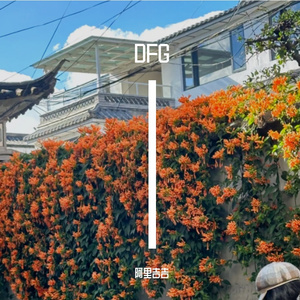 风雨同舟