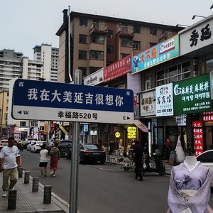 生命之花(草稿1)