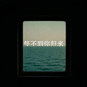 等不到你归来