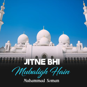 Jitne Bhi Mubaligh Hain