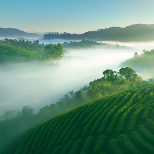 雨霖铃・别绪遥