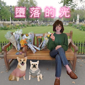 墜落的光