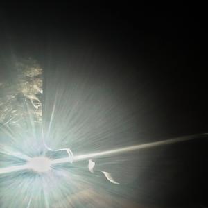 不灵不灵（cover：很美味）