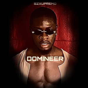 Domineer