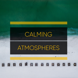 Gentle Waves on Windy Beach