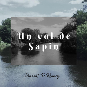 Un Vol De Sapin (feat. Michel Donato, Dany Roy & Felix Le Blanc)