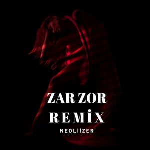 Zar Zor (Remix)