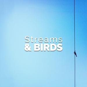 Bird Life Behind the Barn