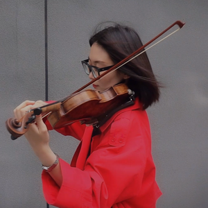 起风了（小提琴改编）