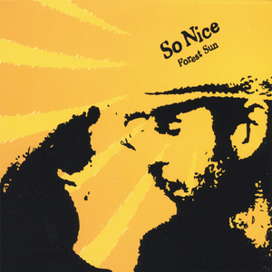 So Nice (featuring Joy Voeth)