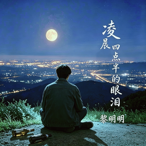 凌晨四点半的眼泪（DJ）
