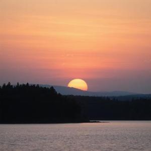 稳稳的幸福 (Cover 郁可唯)