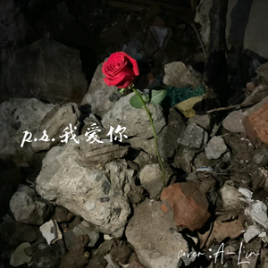 p.s.我爱你