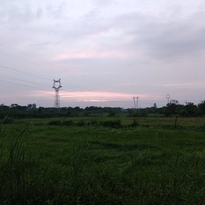 星落掌心