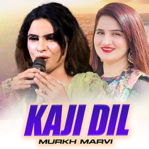 Kaji Dil