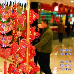 过大年我没回家(苏富权)