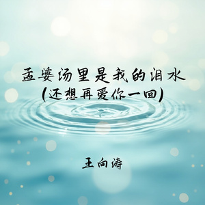 孟婆汤里是我的泪水(还想再爱你一回)