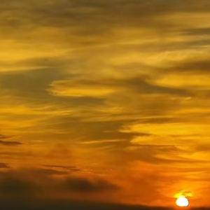 只好把岁月化成