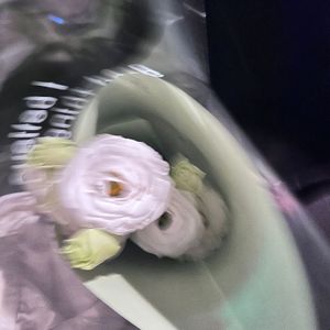 鹿角巷的六月份