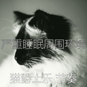 诗意的猫在家节奏