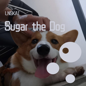 Sugar the Dog