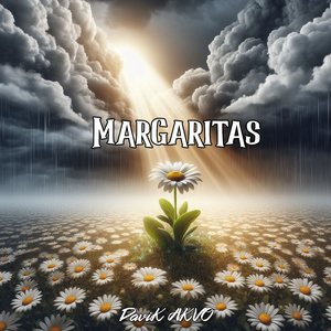 Margaritas