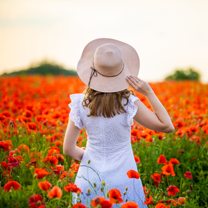 Meadow's Serendipity in Bird Song Harmony