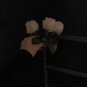 姬和不如（cover隔壁老樊）