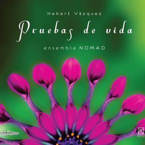 Vanitas: II. De lamentatione