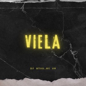 Viela