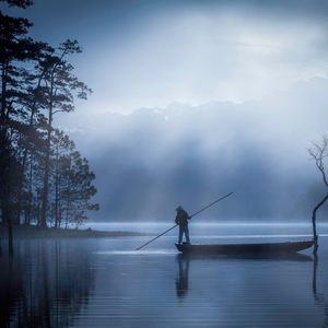 狂风中的向日葵