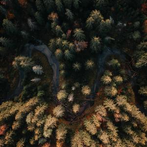 最炫中国风-笛子旋律版