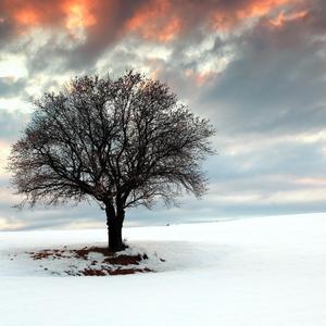 凝聚了我们所有的心血