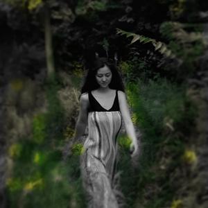 Jelsiz tunde jarek ay ／无风的夜