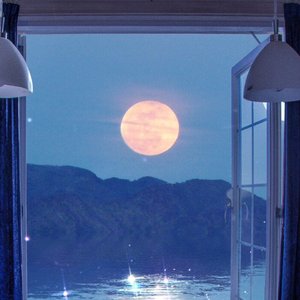 蝉鸣夏夜