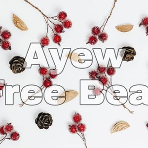 【FREE】BBGT