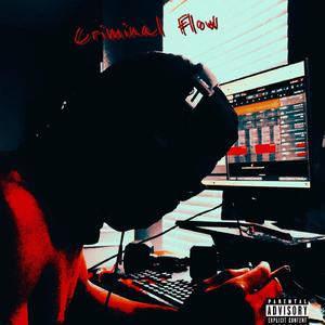 Criminal Flow