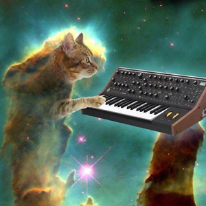 Seek and Find (A Higher Place)