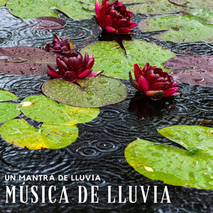 Sonidos De Lluvia Para Relajarse