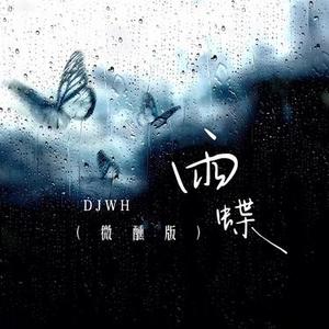 眉飞色舞 (DJ版)