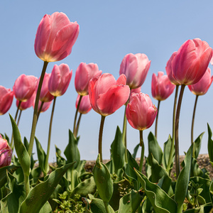 贝塔脑波工作提神醒脑的白噪音